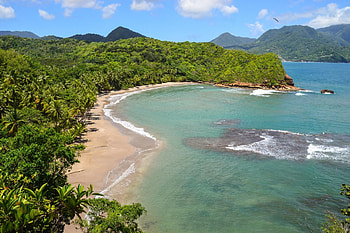 Zauberhafte Inselparadies Dominica, Caribbean Island, Tropical Paradise, Unspoiled Nature HD wallpaper