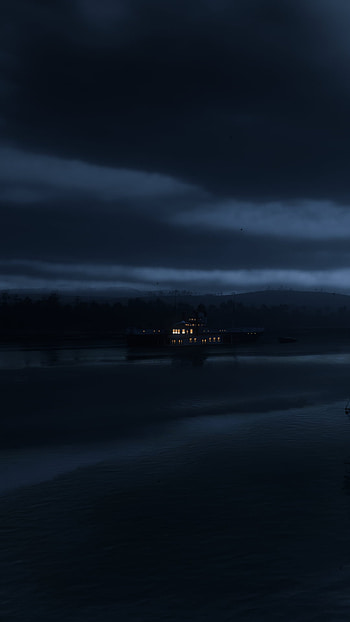 video game, Red Dead Redemption 2 HD phone wallpaper