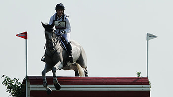 Oliver Townend, Equestrian Sports HD wallpaper