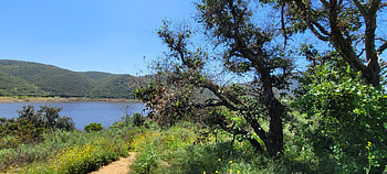 Hiking in Greater San Diego County – Landscape graphy, lake, Southern California, California, landscape, hiking, graphy, nature HD wallpaper