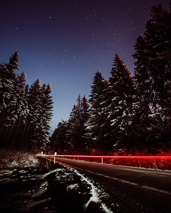 Trees, Night, Snow, Dark, Road, Long Exposure HD phone wallpaper