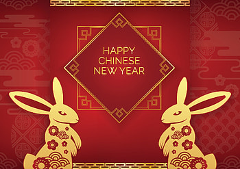 Year of the rabbit, holiday, Chinese New Year HD wallpaper