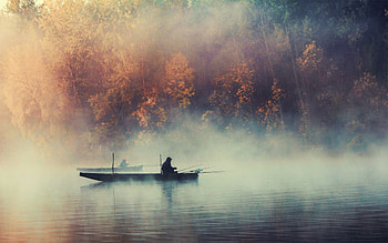 Carp fishing, Fishing HD wallpaper