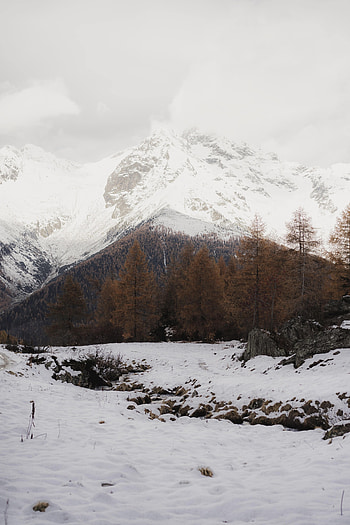 Landscape, Winter, Nature, Trees, Snow, Mountain, Snow Covered, Snowbound HD phone wallpaper