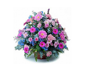 Beautiful Flowers, cool, beautiful, flowers HD wallpaper