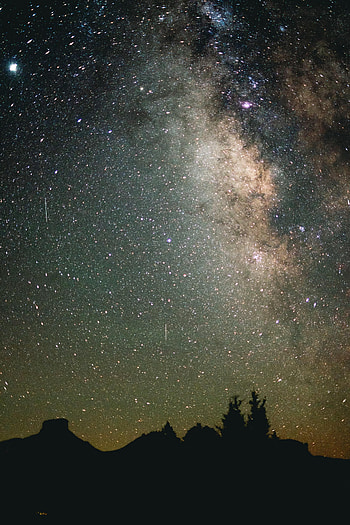 Trees, Universe, Stars, Dark, Silhouette, Nebula HD phone wallpaper