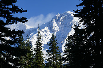 Nature, Trees, Mountains, Snow, Branches, Spruce, Fir, Snow Covered, Snowbound HD wallpaper