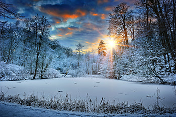 Sunbeams Landscape Snow In Winter Trees , sunbeam, landscape, snow, winter, trees, nature HD wallpaper