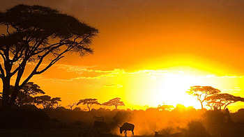Kenyan , Breathtaking sceneries, Vibrant culture, African beauty HD wallpaper