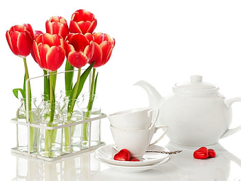 TEA FOR TWO, white, teapots, tea, sweets, tulips, cups, chocolates, petals, glass, hearts, flowers HD wallpaper