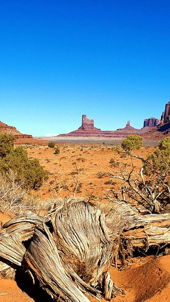 Arizona , High quality, s, Stunning HD phone wallpaper