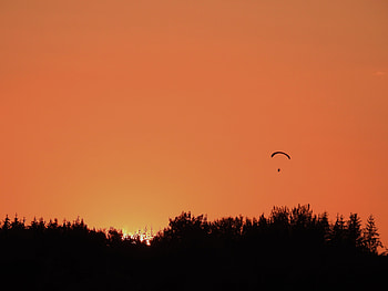 Sunset Glider, graphy, Sunset, Trees, Nature, Glider, Sky HD wallpaper