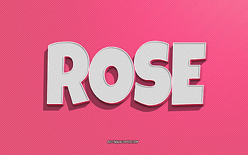 Rose, pink lines background, with names, Rose name, female names, Rose greeting card, line art, with Rose name HD wallpaper