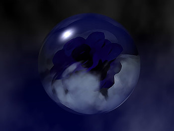 Blue Rose, blue, rose, abstract, globe HD wallpaper