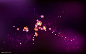 A Shining Bright Flower Abstract, purple, vector, flowers, abstract HD wallpaper
