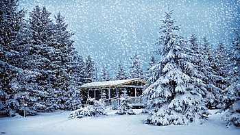 Snow House on the Forest, winter, snow, house, landscape, trees, nature HD wallpaper