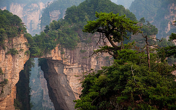 Zhangjiajie national forest park HD wallpaper