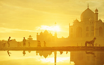 Million Dollar Arm, , Background HD wallpaper