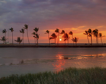 Blowing Winds, clouds, trees, sky, nature, windy, water, sun, lake HD wallpaper