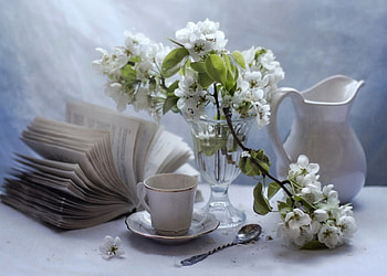 Still Life, white, flowers, book, cup HD wallpaper