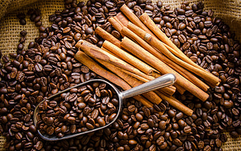 Coffee Beans, coffee, beans, cinnamon, smell HD wallpaper