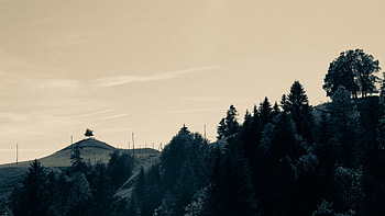Landscape, Nature, Trees, Relief, Hills, Hilly HD wallpaper