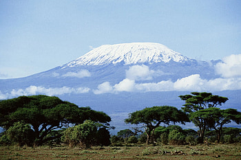 Mount Kilimanjaro, Charity climb, Kilimanjaro the bigger red nose climb HD wallpaper