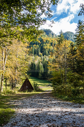 Nature, Trees, Mountain, Road, Hut HD phone wallpaper