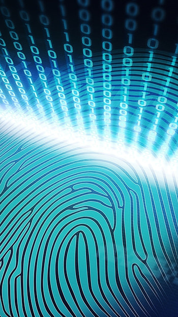 Fingerprint, Biometric Technology HD phone wallpaper
