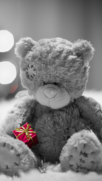 Teddy Bear Wale, Grey Background HD phone wallpaper