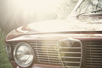 Alfa Romeo, Cars, Logo, Logotype, Bumper HD wallpaper