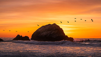 Ocean Beach, California, sky, sunset, sea, birds, colors, usa HD wallpaper