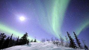 Aurora Borealis, alaska, night sky HD wallpaper