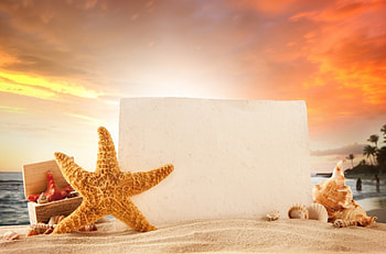 Summer Vacation, starfish, summer, shells, sand, vacation, beach HD wallpaper