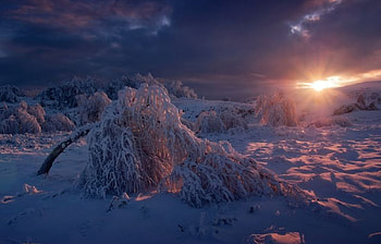 Landscape, Nature, Sunset, Snow HD wallpaper