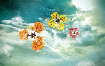 Abstract, Flowers, Sky, Clouds, Branch, Flight HD wallpaper