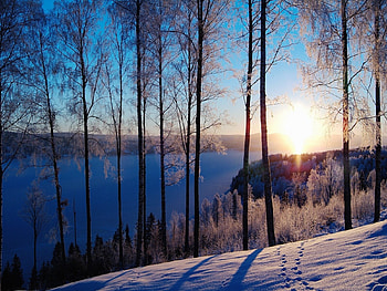 Landscape, Winter, Trees, Sunset, Snow HD wallpaper