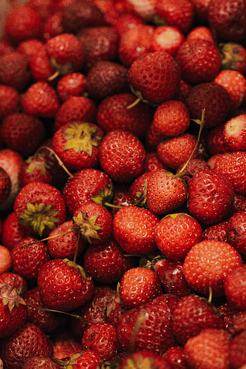 Fruits, Food, Strawberry, Macro, Berry, Close, Wild Strawberries HD phone wallpaper