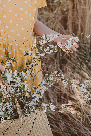Flowers, Hand, Branches, Basket, Dress HD phone wallpaper