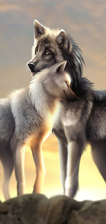 Best wolf backgrounds, Artistic ry, Stunning , Powerful animals HD phone wallpaper