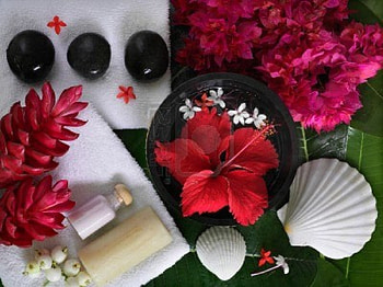 spa beauty, sea, shells, soap, tropical, exotic, salt, stons, beauty, flowers, spa HD wallpaper