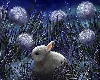 Sweet Dandelions, night, paintings, spring, dandelions, bunny, love four seasons, animals, nature, flowers, easter, rabbit HD wallpaper