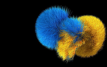 Miscellanea, Miscellaneous, Fluffy, Lumps HD wallpaper