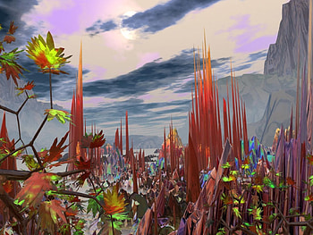 Discovery, beauty, flower HD wallpaper