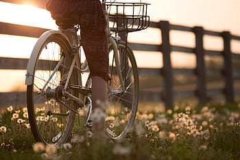 A person cycling past a scenic fence and flowers during sunset, capturing tranquility and dom. HD wallpaper