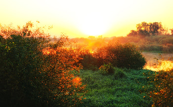 Nature, Rivers, Grass, Dawn, Fog, Morning, Sunlight HD wallpaper
