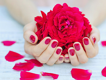soft, hands, petals, flower HD wallpaper