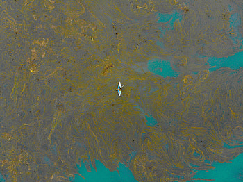 Nature, Divorces, Boat, Lonely, Alone, Seaweed, Algae HD wallpaper
