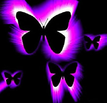 PURPLE BUTTERFLIES, purple, butterflies, louminated, black HD wallpaper