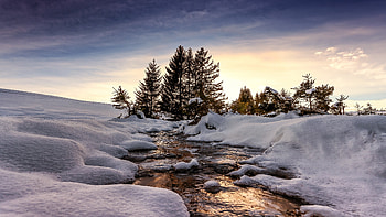 Creek Winter Snow, Creek, nature, Winter, Snow HD wallpaper